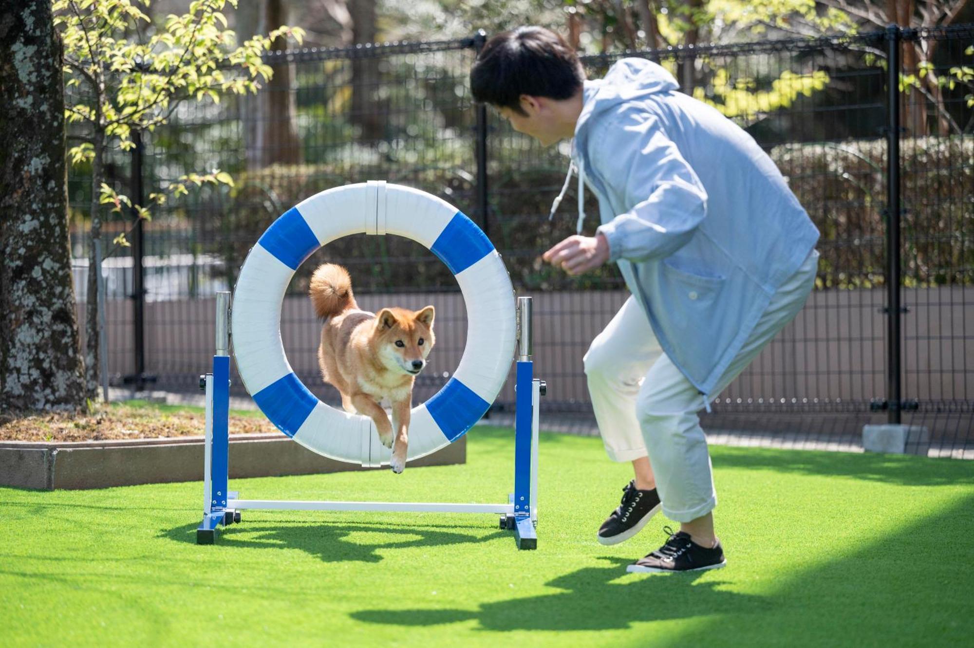 Izumigo Lake Hamana Dog Paradise Hotel Hamamatsu Eksteriør bilde