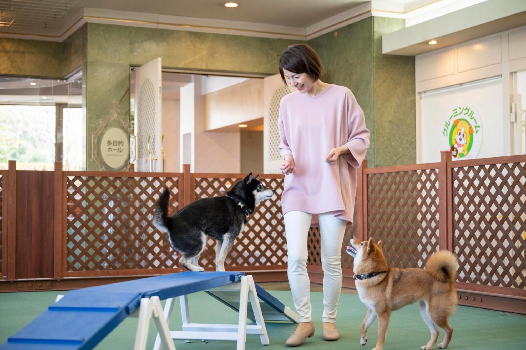 Izumigo Lake Hamana Dog Paradise Hotel Hamamatsu Eksteriør bilde