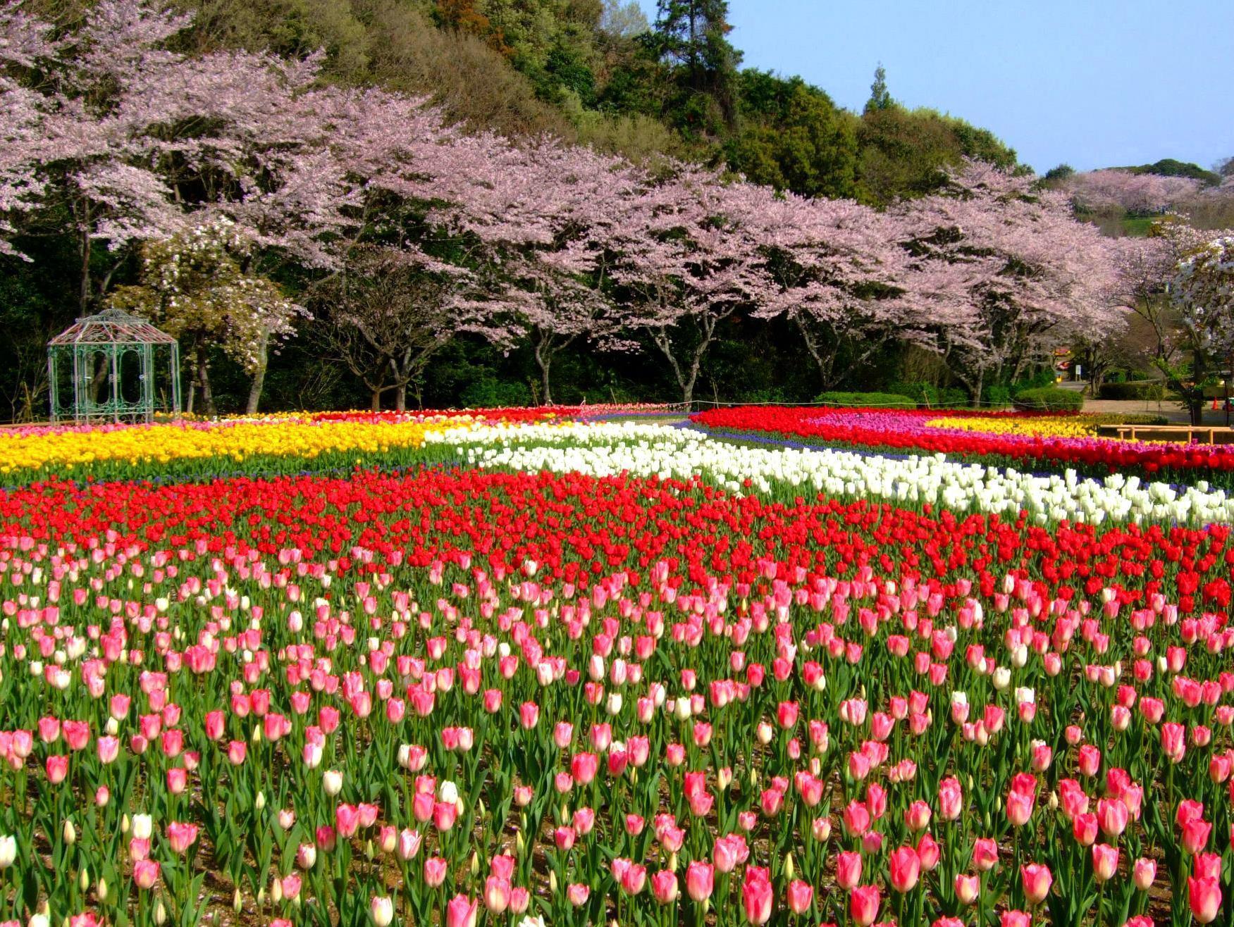 Izumigo Lake Hamana Dog Paradise Hotel Hamamatsu Eksteriør bilde